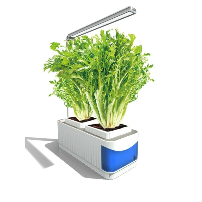 Indoor Hydroponics Growing System with Automatic Timer and Germination Kit